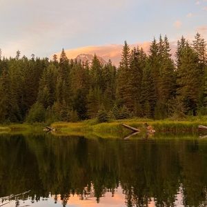 Meet your Posher, Molly